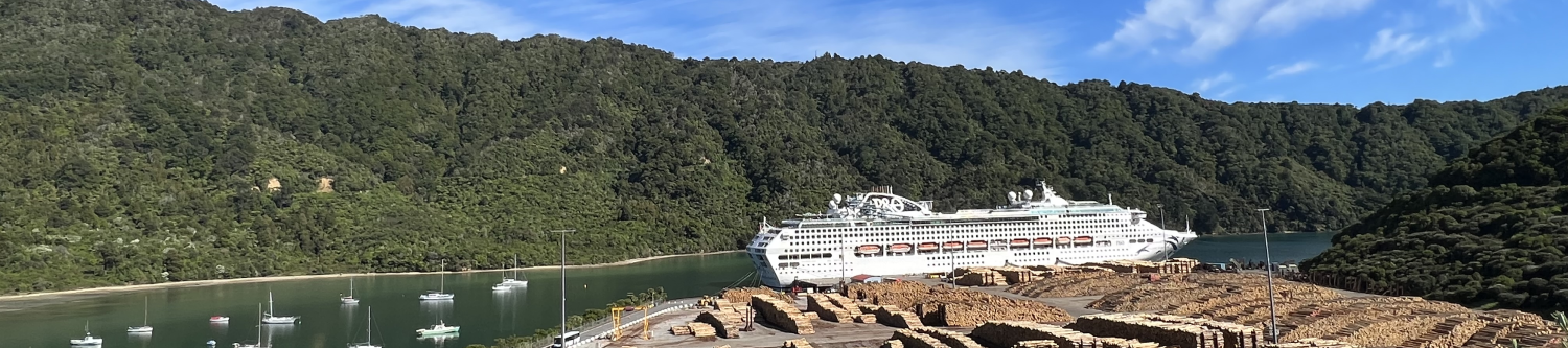 Cruise ship at Picton wharf